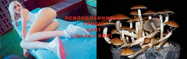 марки nbome Богданович