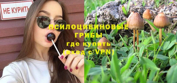 марки nbome Богданович