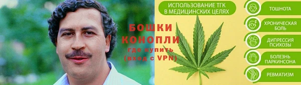 твердый Бородино