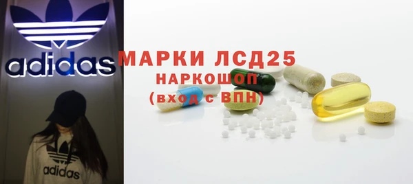 твердый Бородино