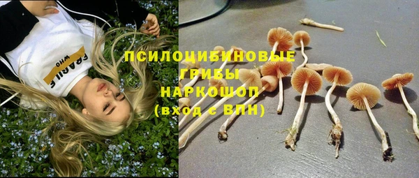 герыч Бронницы