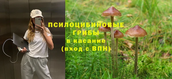 PSILOCYBIN Богородск