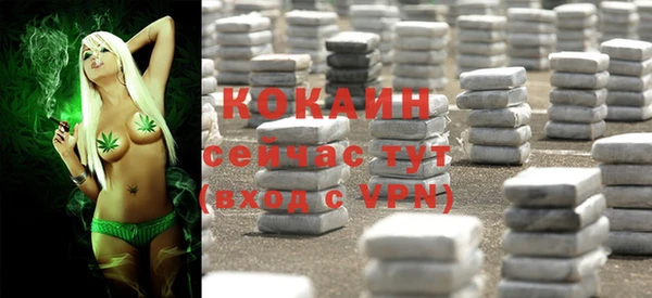 твердый Бородино